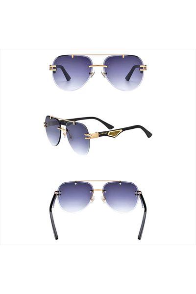 HAANY Sunglasses (Buffalo Horn Handle) Sunglasses