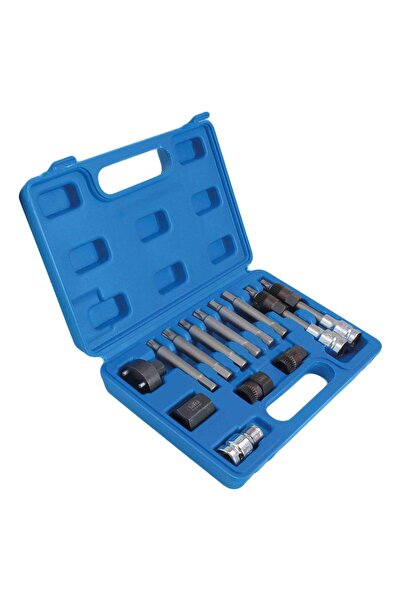 Techman TRUSA CHEI MONTARE DEMONTARE FULII ALTERNATOR AUTO, UNIVERSALA, 13 PIESE