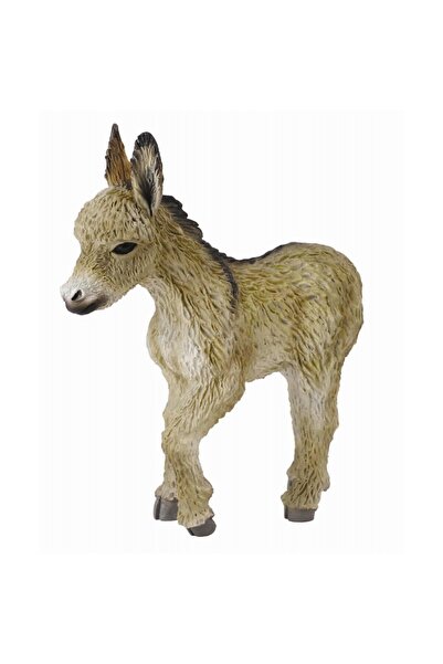 Collecta Manz mergand -