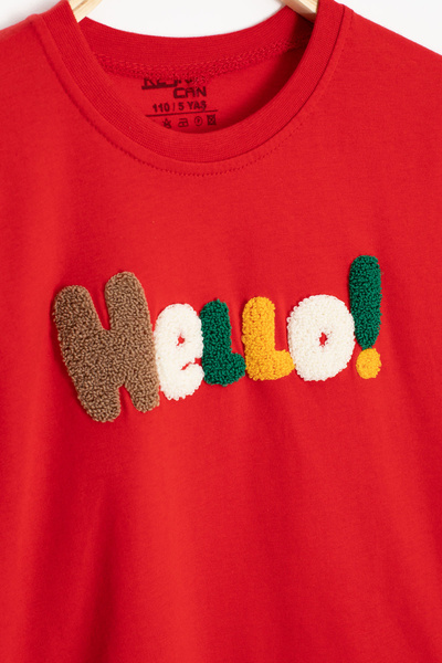 Cansın Mini Red Lettering Embroidered Short Sleeve T-Shirt Boys Shorts Set 20587
