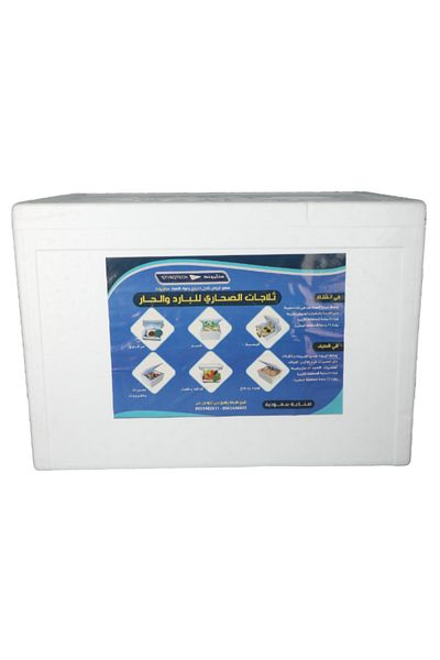 Styrotech Rectangular Outdoor Camping Cooler Box 40 Liter