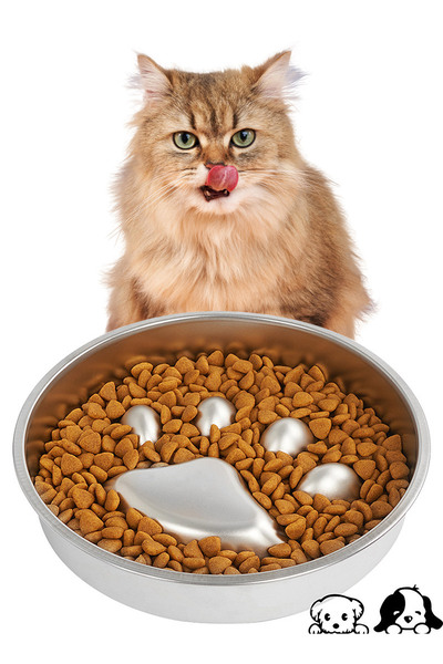 KidLe وعاء طعام بطيء من الفولاذ المقاوم للصدأ للكلاب، وعاء طعام للكلاب للسلال...