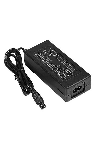 VTM Electric Charger 42V 2A for Electric Scooters and Hoverboards, Black