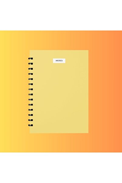 edinotes 4-Piece A4 School Notebook - 2 Checkered and 2 Lined