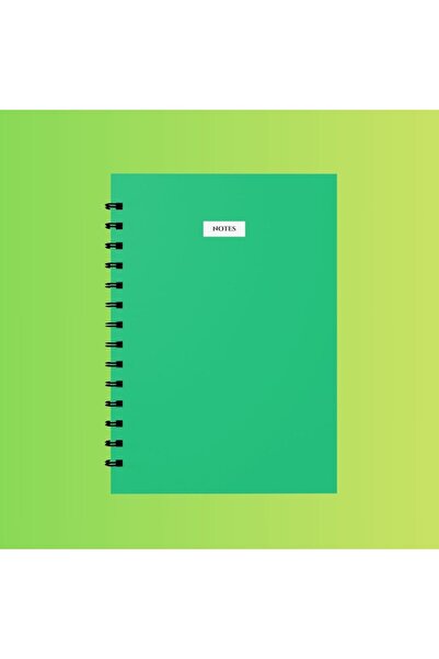 edinotes 4-Piece A4 School Notebook - 2 Checkered and 2 Lined