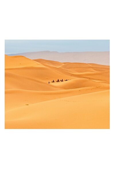 OEM Tablou Canvas, 'Caravana de camile in desert', 50 x 50cm