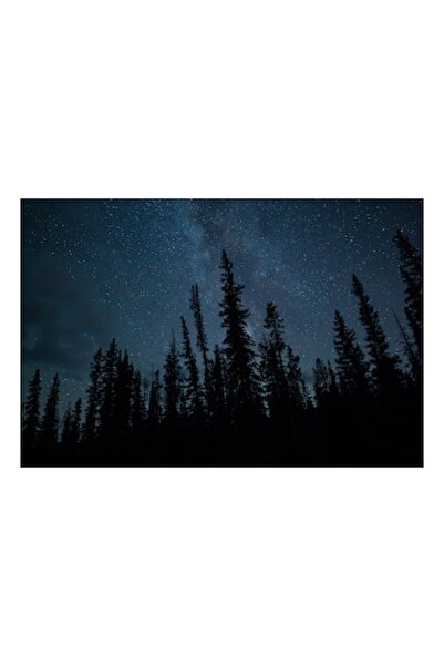 OEM Tablou Canvas, 'Cer instelat peste padurea tacuta', Stele, Cer, Pini, Noa...