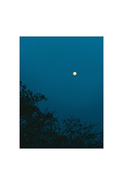 OEM Tablou Canvas, 'Luna plina stralucind in noapte'