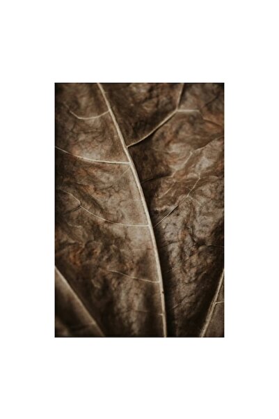 OEM Pictură pe pânză, „Textura enigmatică a frunzei uscate”, Vene, Natură, 39...