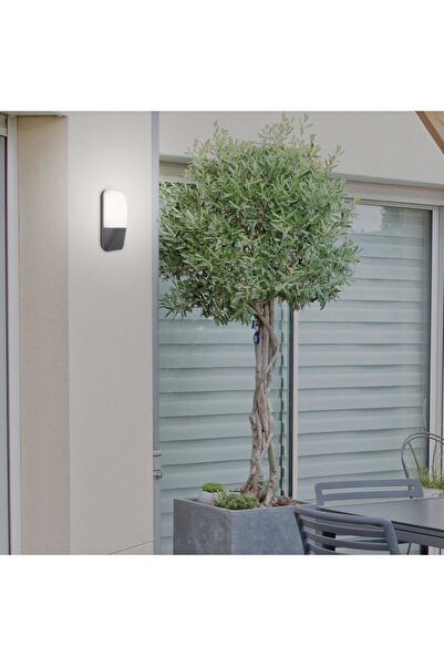 Rabalux Aplică de exterior Ecuador LED, metal, sticlă, antracit, 800 lm, lumină neutră (4000K), 7996,