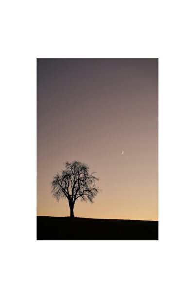 OEM Pictură pe pânză „Lună și copac singuratic”, Peisaj liniștit de seară, 10...