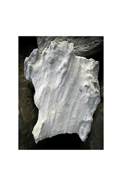 OEM Tablou Canvas, „Nu stiu cine este in imagine.”, 50 x 50cm
