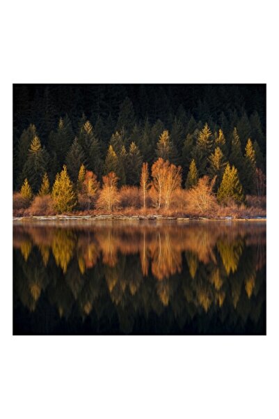 OEM Tablou Canvas, "Lumina aurie in padurea adormita", Reflectie, Padure, Lac...