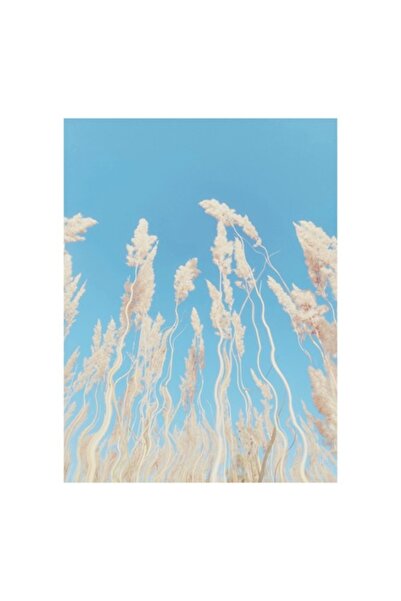 OEM Pictură pe pânză, „Dansul ierbii în briză”, Cer albastru, Flori, 70x100cm