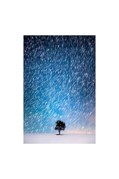 OEM Pictură pe pânză, „Steaua Nordică peste Copacul Singuratic”, Stele, Noapt...