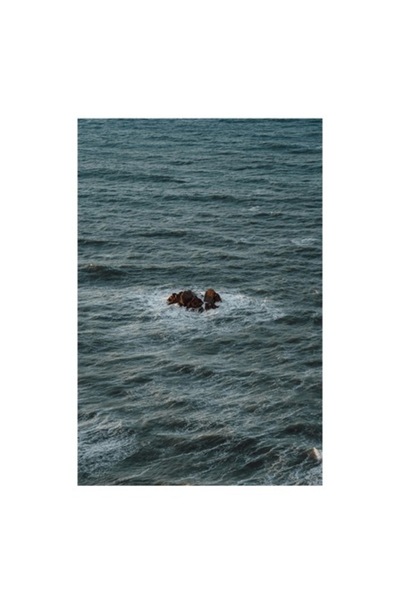 OEM Tablou Canvas, 'Singuratici stanci in marea agitata', 50 x 50cm