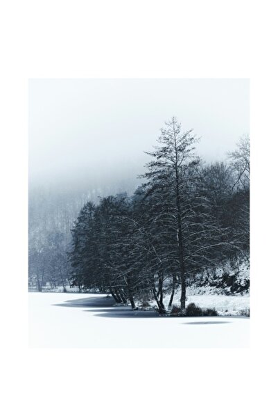 OEM Pictură pe pânză, „Copaci înghețați lângă lac”, Iarnă, Pădure, Zăpadă, Pa...