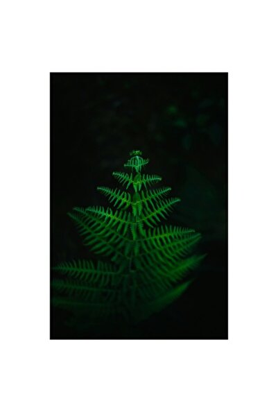 OEM Pictură pe pânză „Ferigă mistică”, artă murală inspirată din natură, 50 x 70 cm