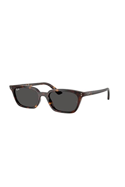 Ray-Ban 0Rb 4456 135987 50 Unisex Sunglasses