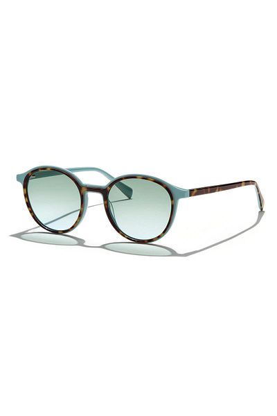 Zen Milano Eyewear Yhp8106-C2 50 Unisex Sunglasses