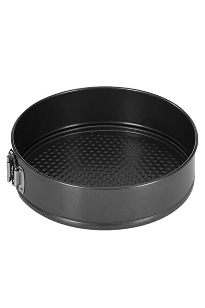 Generic قالب كيك سريع الفتح وغير لاصق من رويال فورد بقاعدة قابلة للفك، 24 سم