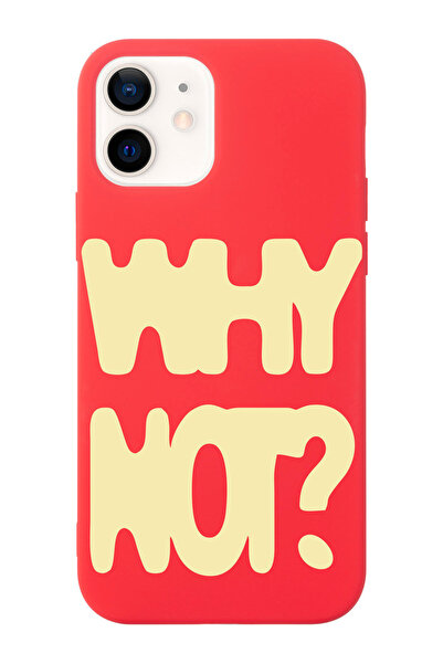 shoptocase iPhone 12/12Pro Uyumlu Why Not? Desenli İçi Süet Lansman Koruyucu ...