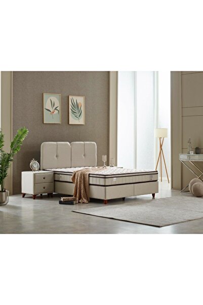 Tutku Yatak Bodrum Omurga Destek Süngerli 4 Mevsim Yatak Baza Başlık Seti (KO...