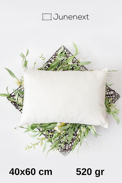 jn junenext 1 Piece 40X 60 cm Throw Pillow Inside, Throw Pillow, Filled Throw Pillow 520 Gr