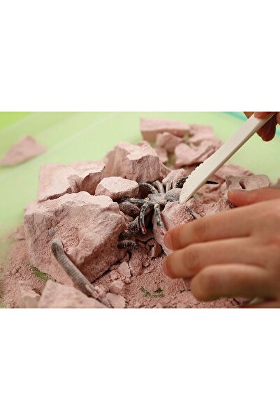 4M Sada pro vykopávky a pozorování strašidelných zvířat, KidzLabs, 5+