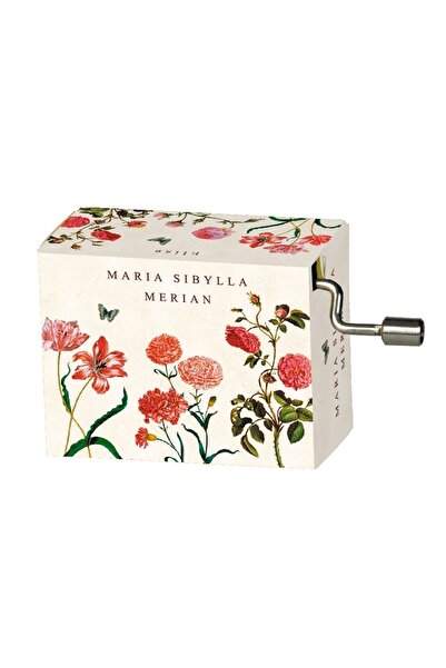 Fridolin Flasneta Maria Sibylla Merian - Flori, Fridolin, varianta plus