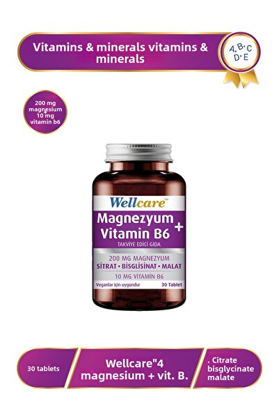 Wellcare Magnesium + Vitamin B6 - 30 Tablets