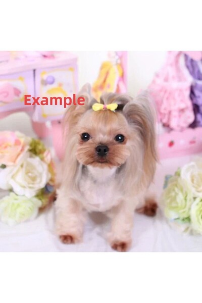 LO ADORO قطعتين من إبزيم الجري الوردي - إكسسوار للكلاب