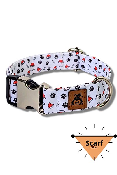 UTDpet Bony Dog Collar