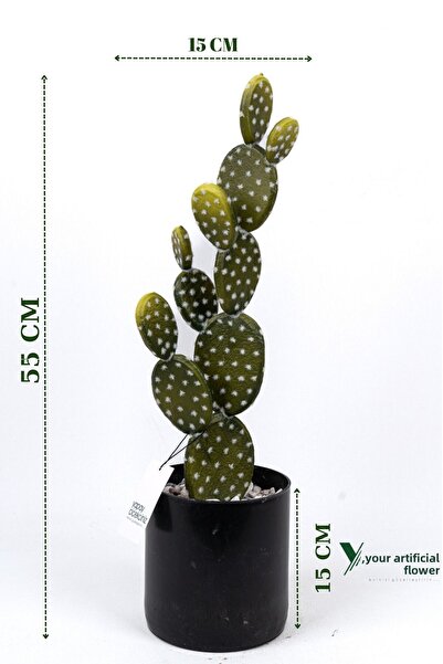 YAPAY ÇİÇEKÇİNİZ صبار تكساس الاصطناعي في وعاء أسود مبطن بالحجر