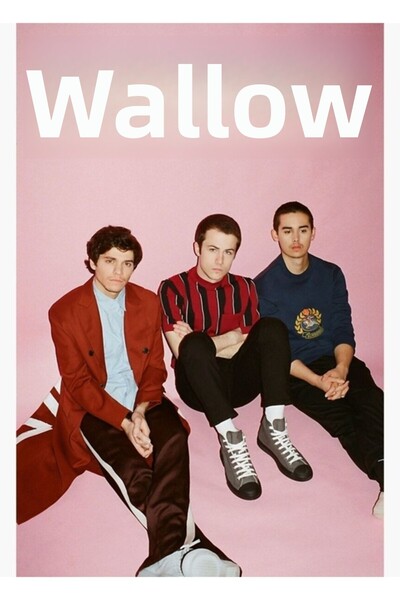 Universal Poster decorativ din lemn Wallows Pink Painting