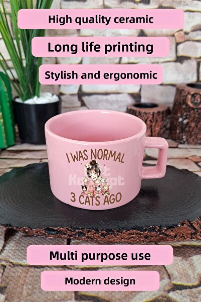 giftkonsept I Was Normal 3 Cats Ago Themed Funny Cat Owner Humor Square Cup with Handle Pink Mug Cup