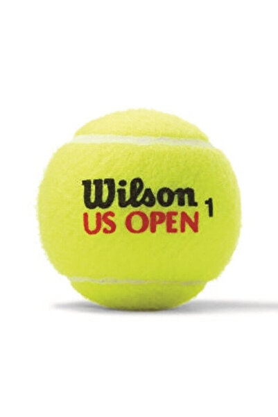 Wilson Us Open Xd Tball 3 Ball Can Unisex Çok Renkli Tenis Topu TOPTNSWIL003