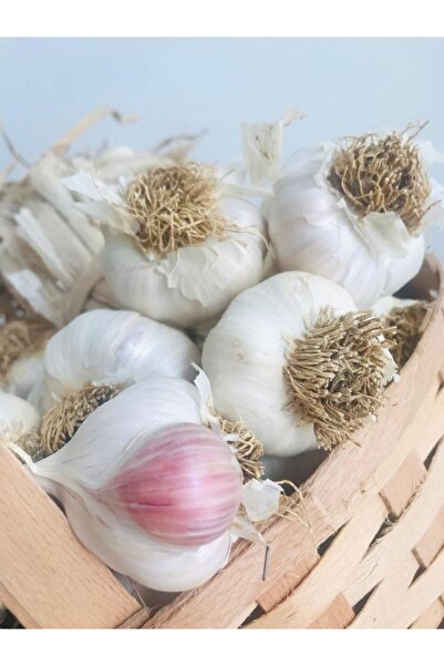 Edovital Coğrafi Işaretli Taşköprü Sarımsağı Kg (2025 HASAT)