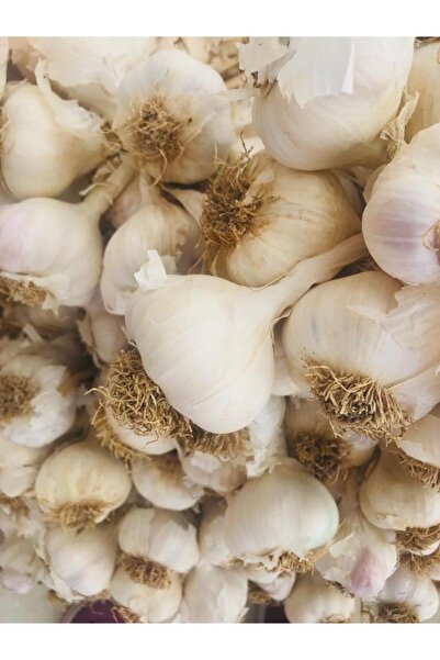 Edovital Coğrafi Işaretli Taşköprü Sarımsağı Kg (2025 HASAT)