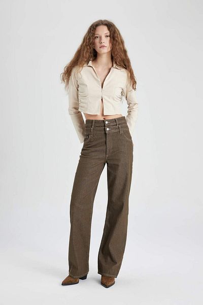 DeFacto Fitted Shirt Collar Bengal Long Sleeve Blouse C5037AX24SP