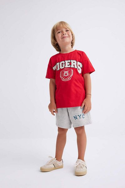 DeFacto Baby Boy Crew Neck Tiger Pattern Short Sleeve T-Shirt C0975A524SM
