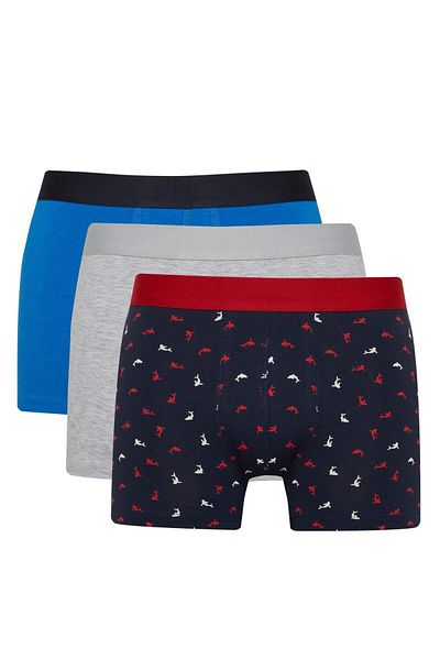 DeFacto Regular Fit 3-Pack Boxer B7966Ax24Sm