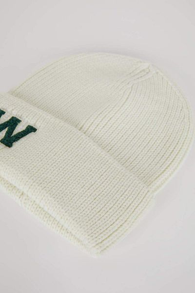 DeFacto Women's Embroidered Knitwear Beret A6335Ax23Wn