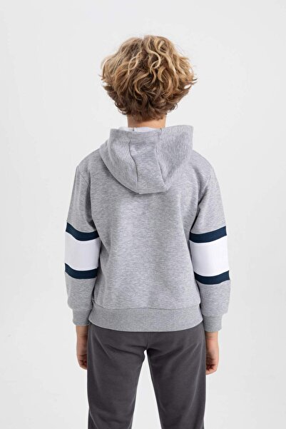DeFacto Boy's Hooded Thick Sweatshirt B2973A823Wn
