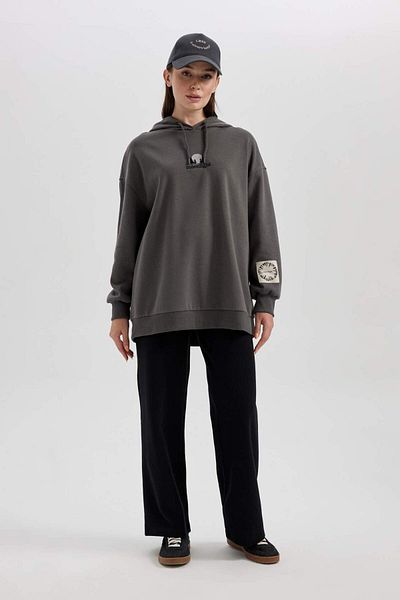 DeFacto Regular Fit Hooded Embroidered Soft Fur Inside Thick Sweatshirt Tunic B0707Ax23Wn
