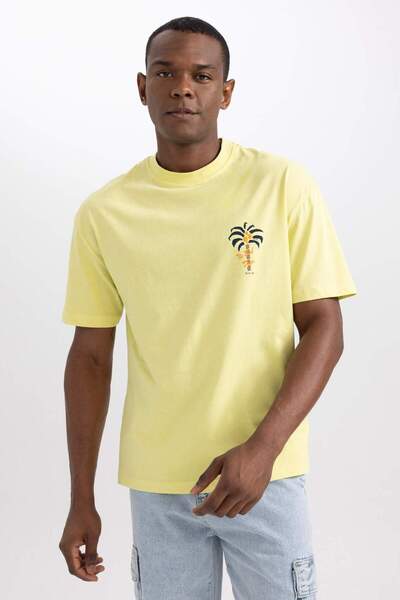 DeFacto Comfort Regular Fit Άνετη εφαρμογή Crew λαιμόκοψη με στάμπα μπλουζάκι με κοντό μανίκι B2012AX23HS