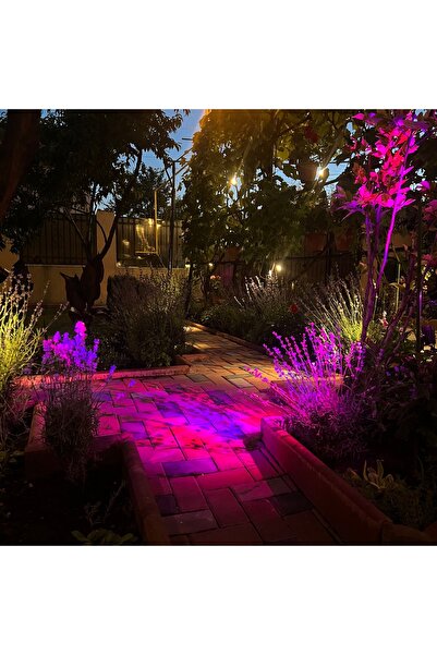 OEM Set 4 proiectoare solare RGB Malibu pentru iluminat exterior de la LUMINOR LIGHT TO YOUR HEART