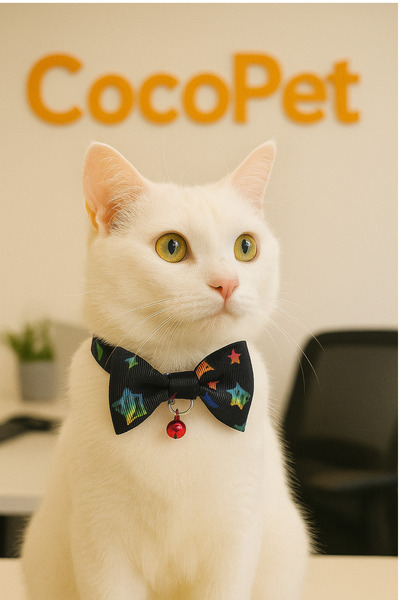 Cocopet Papyonlu Kedi Tasması Fiyonk Tasma Yıldız Desenli 17-30 Cm Uyarı Zilli