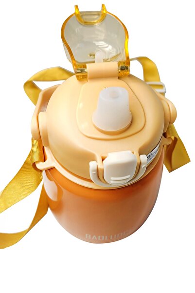 Weather Forecast 304 L Steel Orange 650 ml Water Bottle with Strap and Straw cin469tr