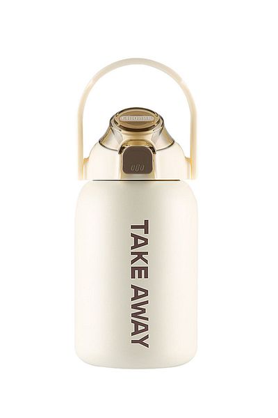 Weather Forecast 304 L Steel Cream 850 ml Water Bottle with Carrying Apparatus and Straw Bottle cin475by